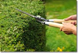 Sunset in the mountains